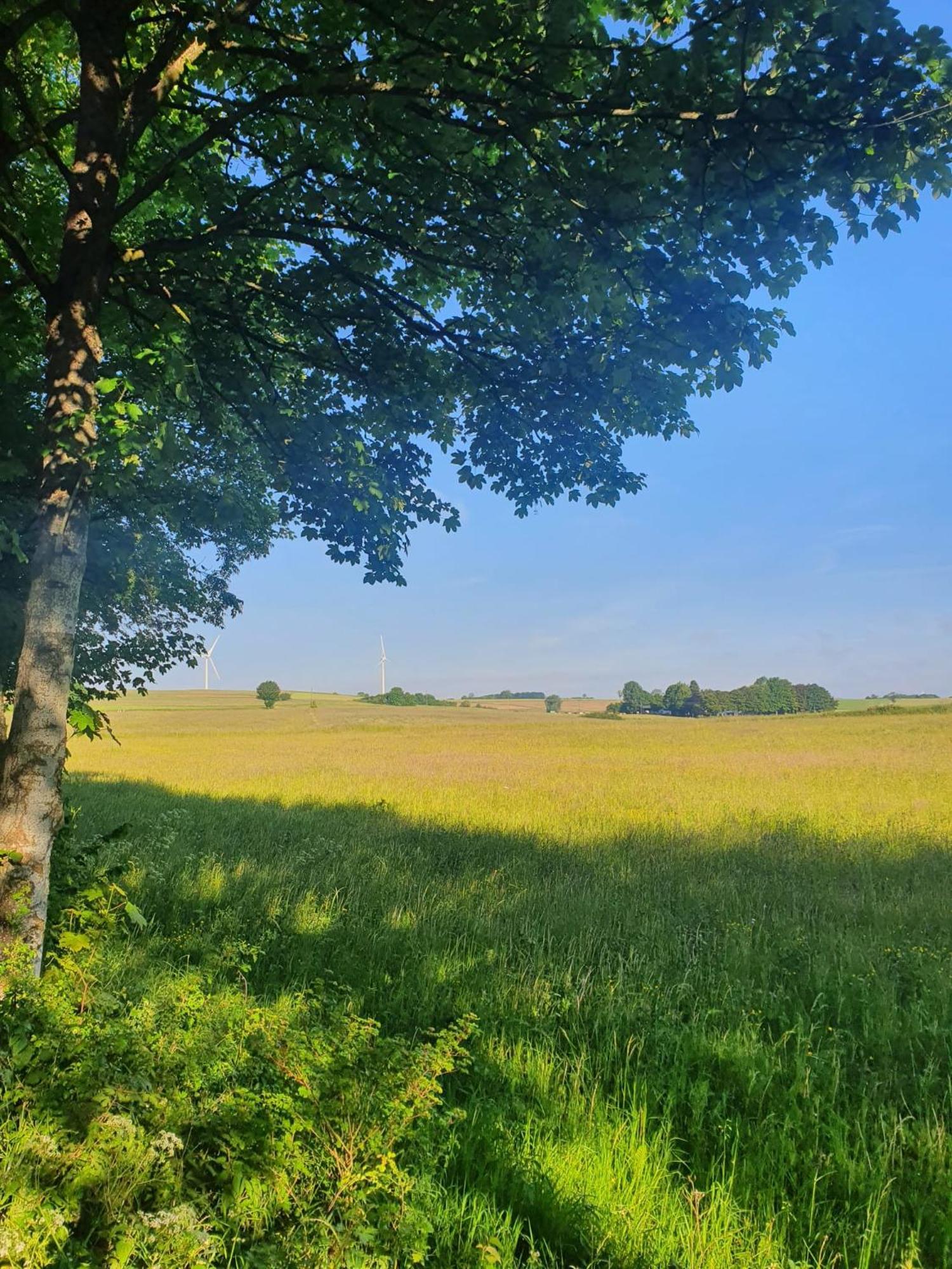 Schoene Aussicht Nettersheim Exterior photo